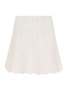 Picture of A-Line Mini Skirt