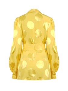 Picture of Polka Dot Belted Satin Blouse 